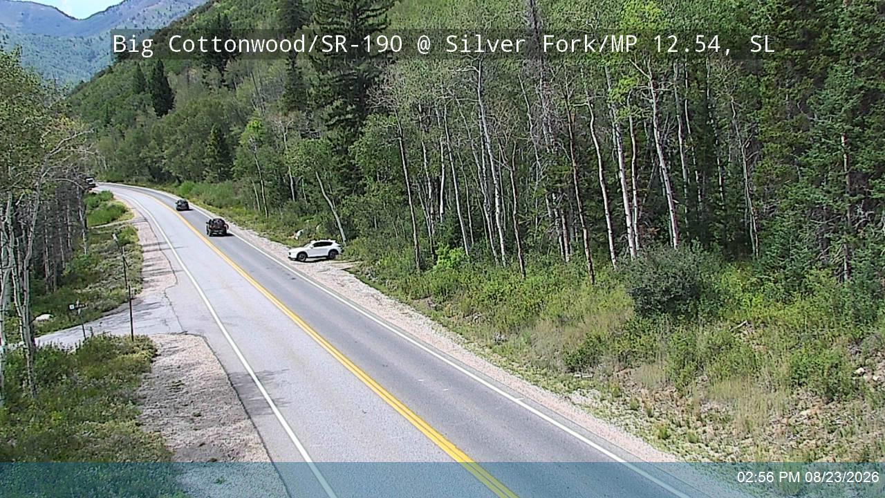 Silver Fork