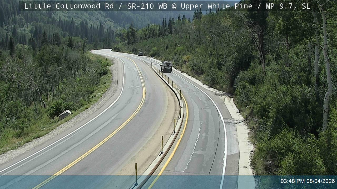 Upper White Pine