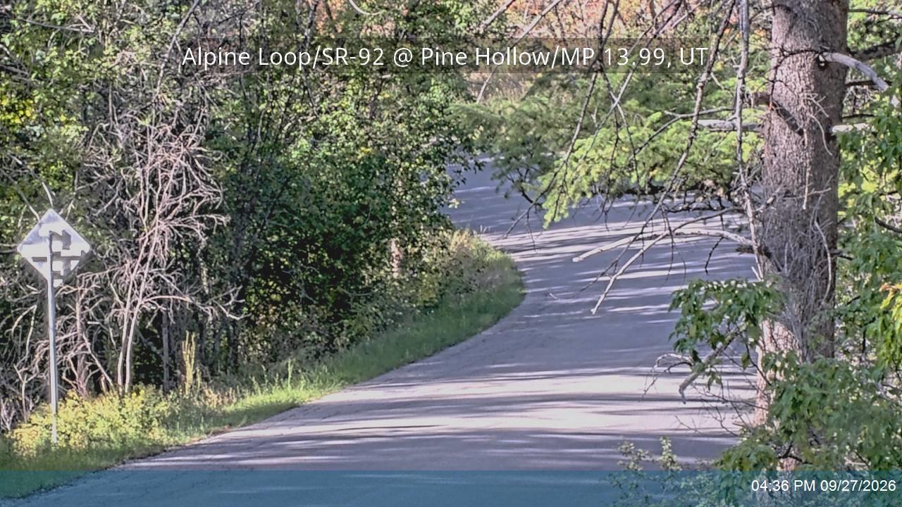 Pine Hollow
