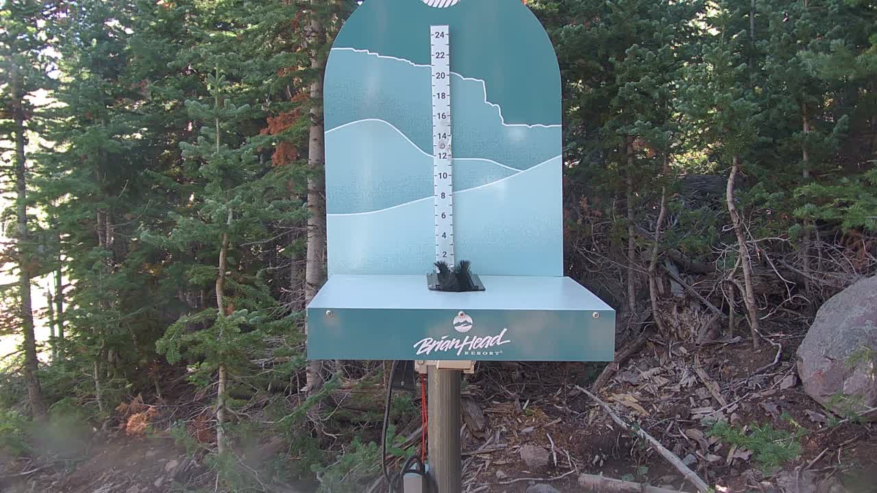 BH Snow Stake