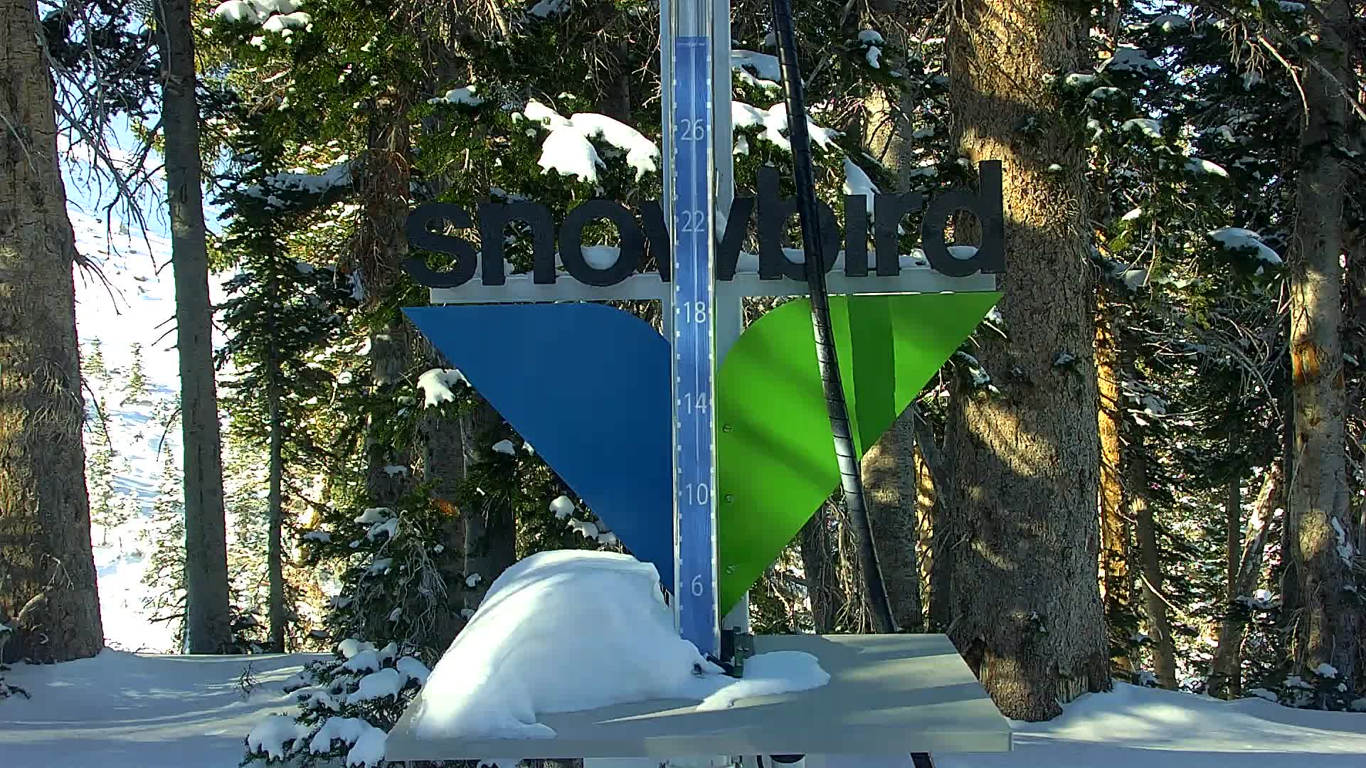 Snowbird Snow Stake